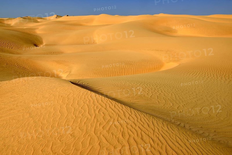 Sanddunes of Al Khaluf desert