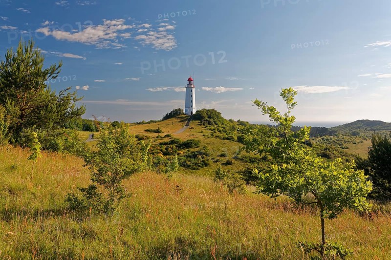 Lighthouse Dornbush on the Schluckwieksberg