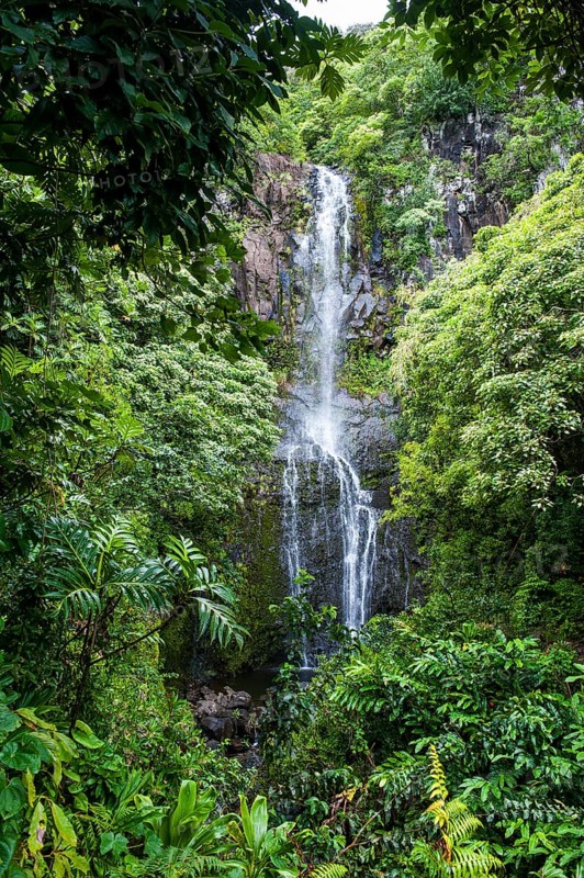 Makahiku falls in green vegetation