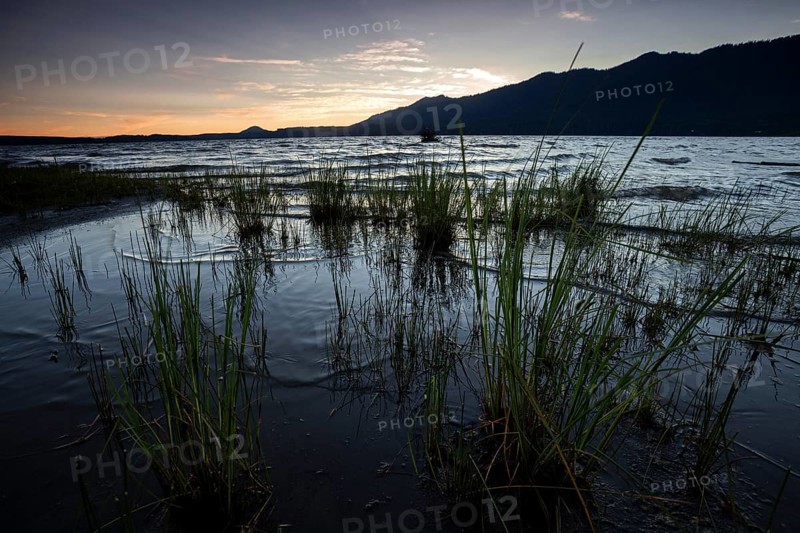 Evening mood at the Lake Quinault near Quinault