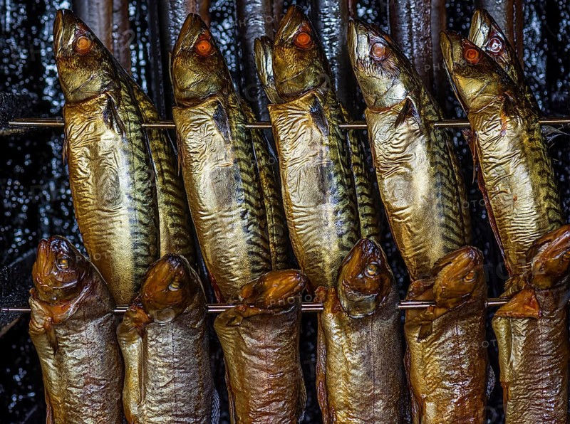 Smoked Atlantic mackerels