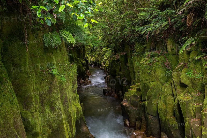River running through Te Whaiti Nui Toi Canyon