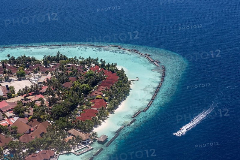 Tropical Island
