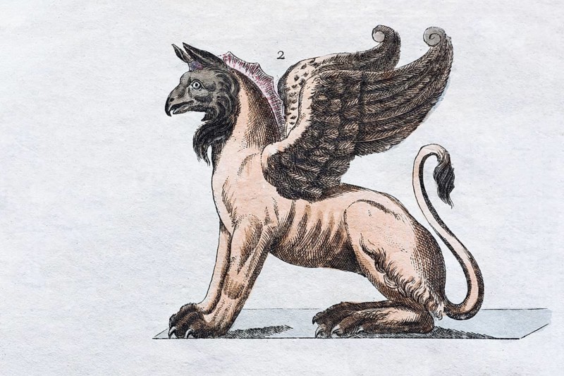 Griffin