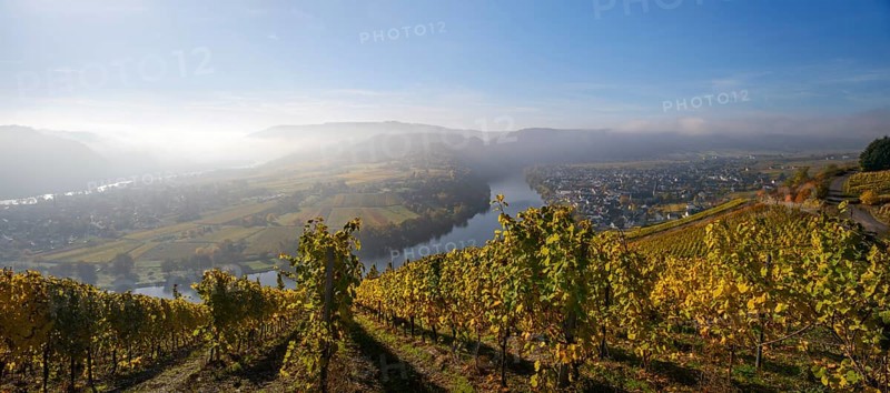 Moselschleife and vineyards
