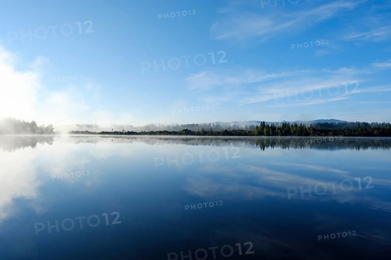 Morgennebel