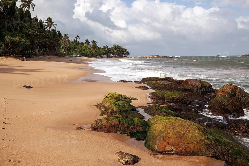 Sandy beach with palm trees and rocks
