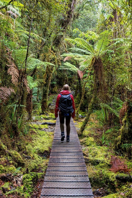 Hiker on walk through rainforest on Lake Matheson
