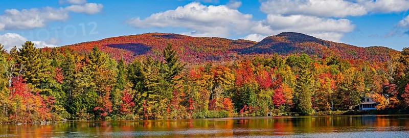 Autumn