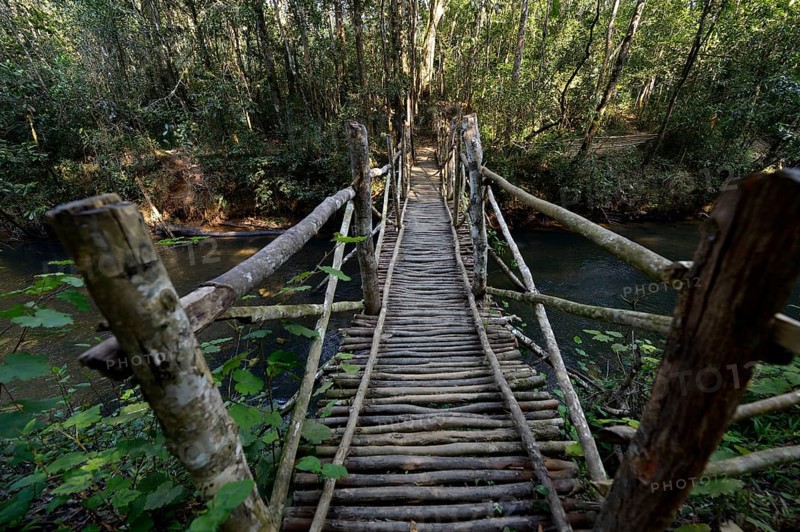 Wooden bridge