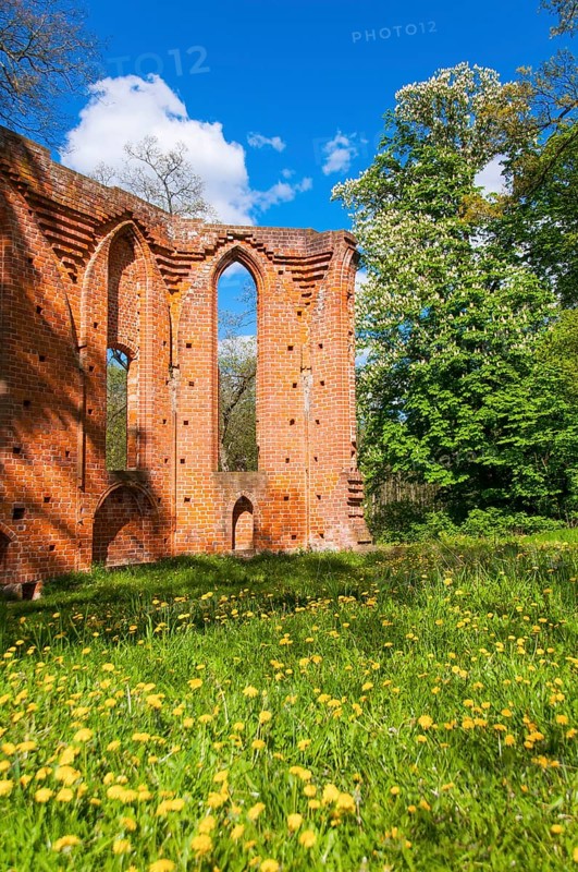Monastery ruins of Boitzenburg