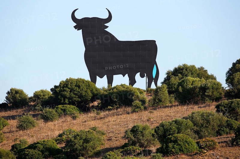 Black silhouette of a bull