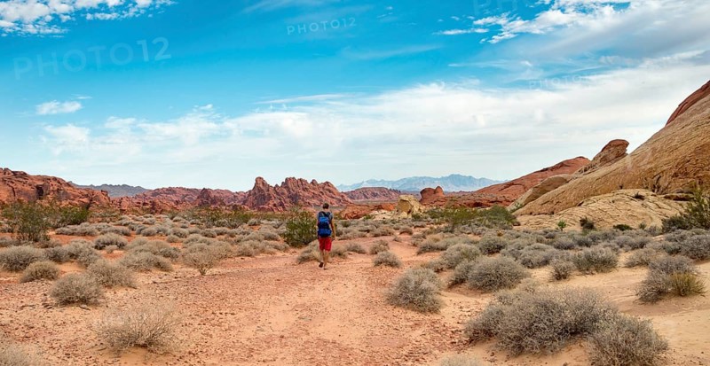 Young male hiker on White Dome Trail