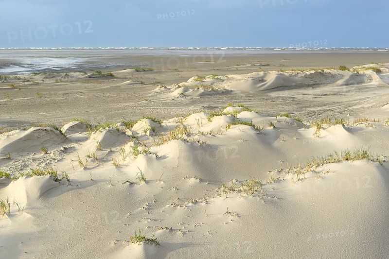 Foredunes with sand drifts