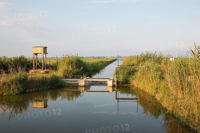 Typical landscape of the Ebro Delta with canals