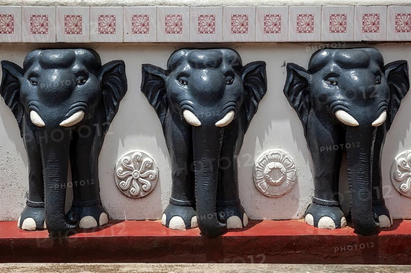 Stone elephants