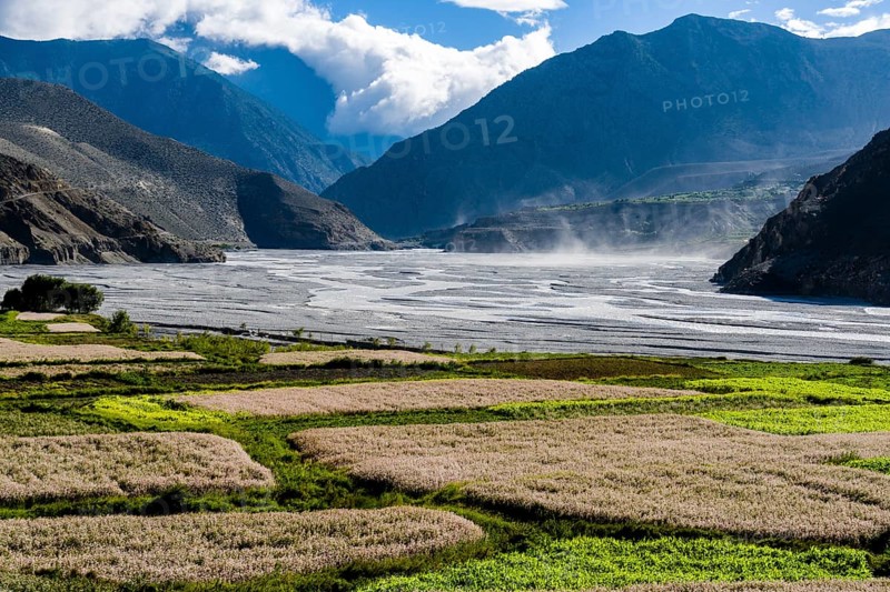 View of agricultural landscape