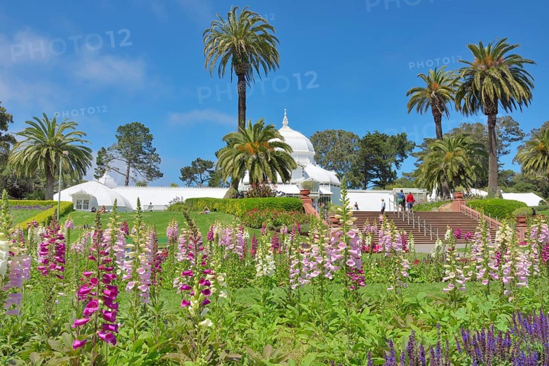 Flowerbed