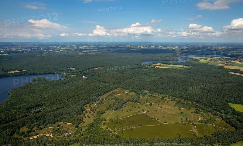 Aerial view of Westruper heath