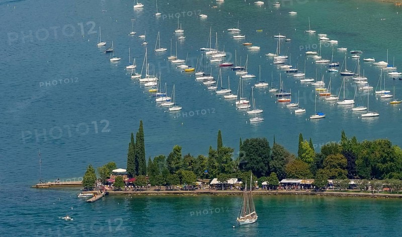 Sailboats in marina