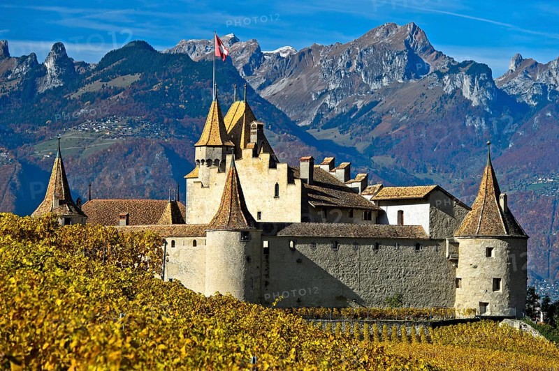 Wine Museum Aigle Castle