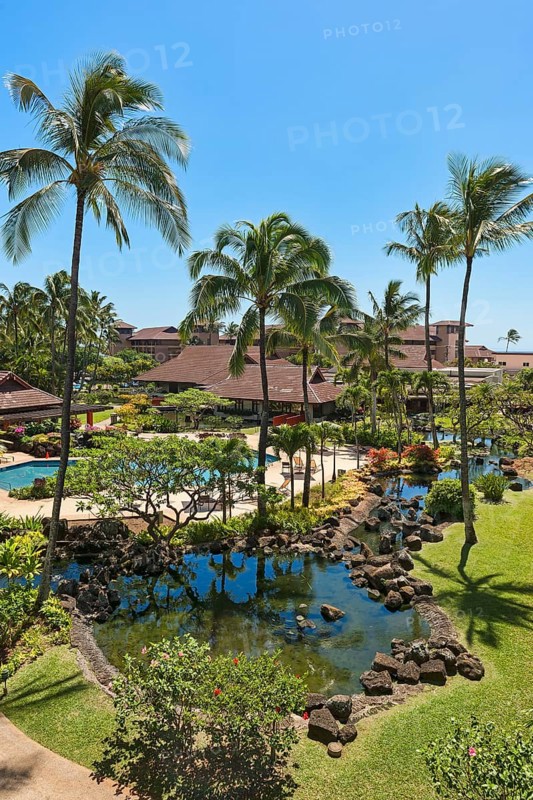 Hotel resort with pool and palm trees