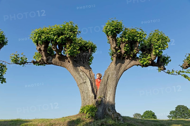 Woman behind lime tree