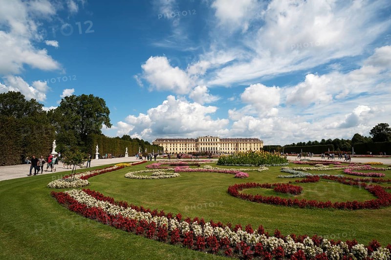 Flower bed in park