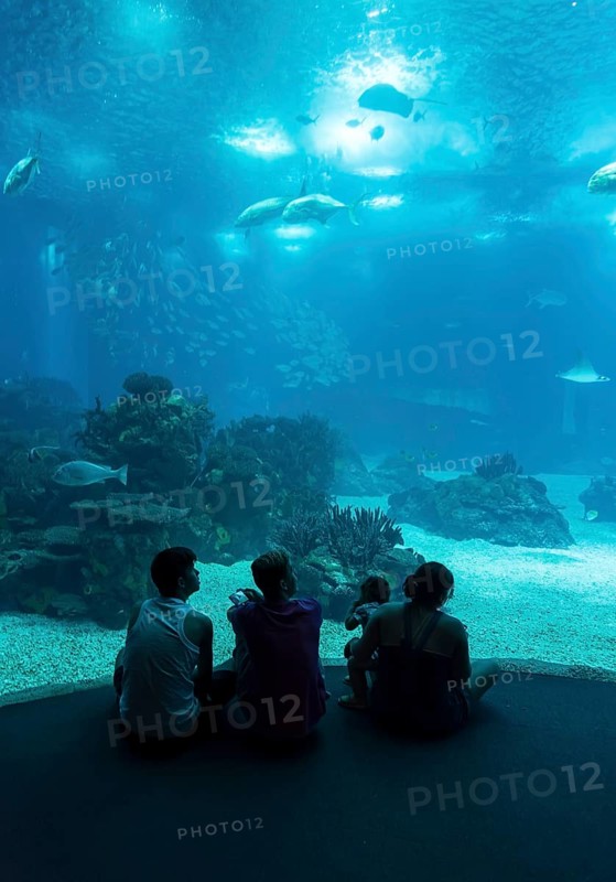 People inside Lisbon Oceanarium