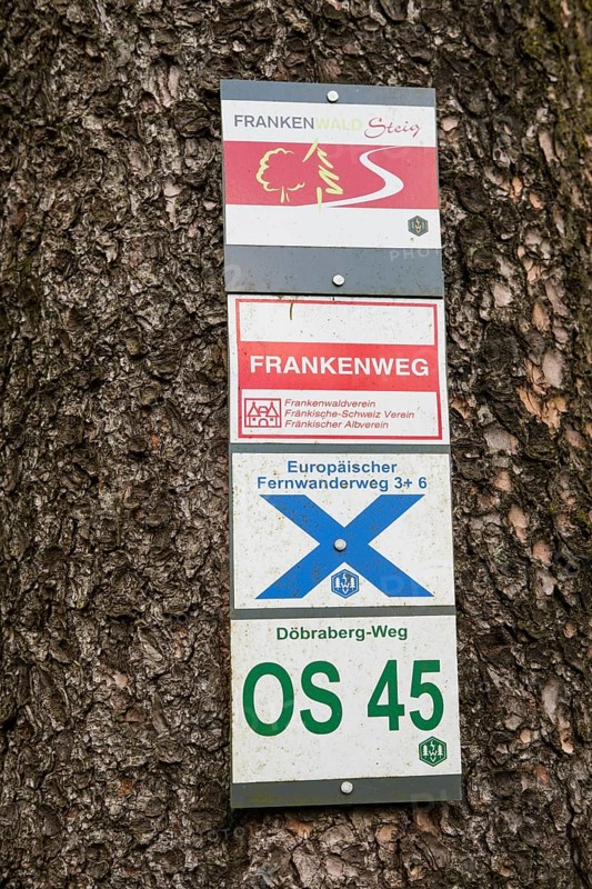 Hiking trail markings on tree trunk