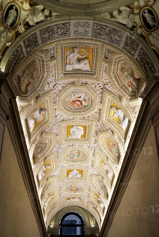 Vaulted ceiling