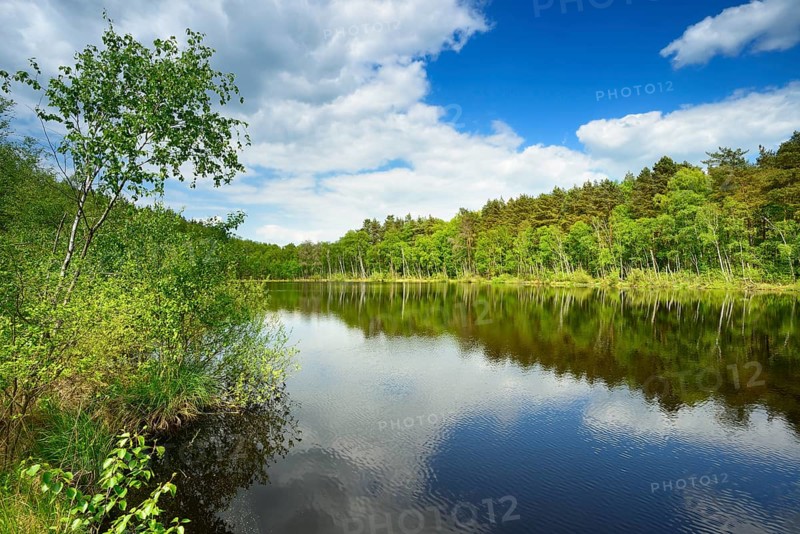 Wienpietschseen
