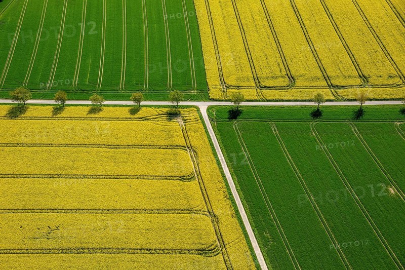 Rape fields on the city boundary between Warstein-Belecke and Anrochte-Erwitte