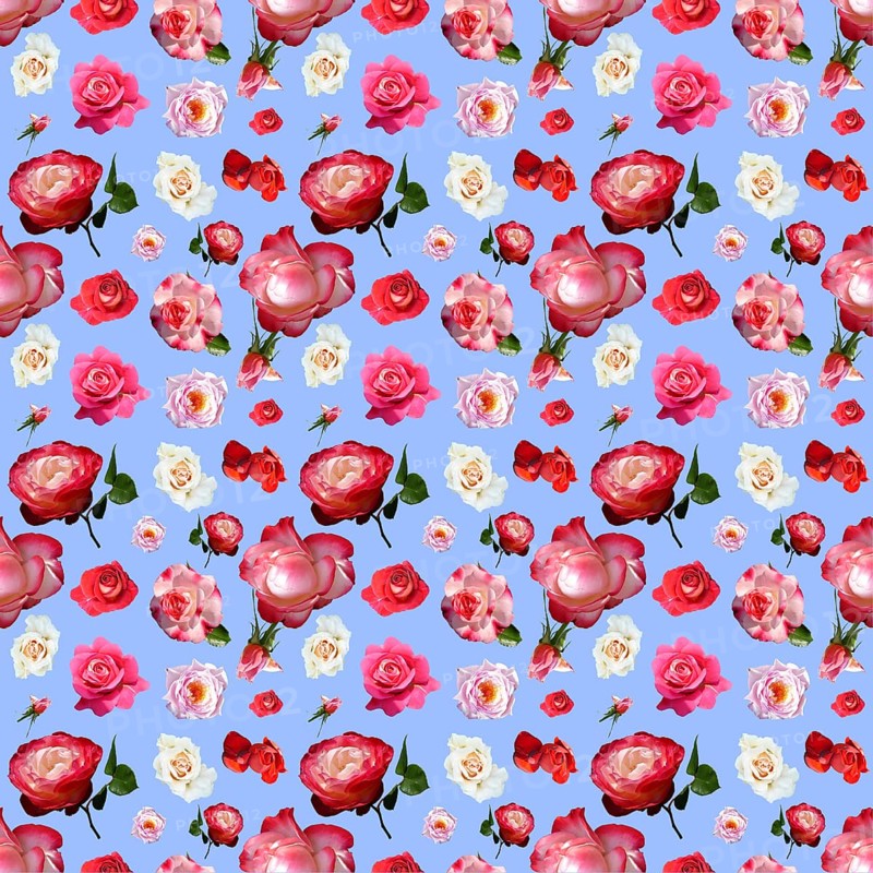 Wallpaper