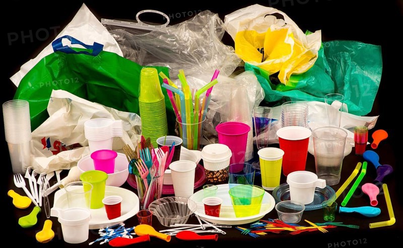 Disposable tableware