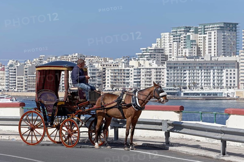 Horse carriage in front of Panorama of Sliema