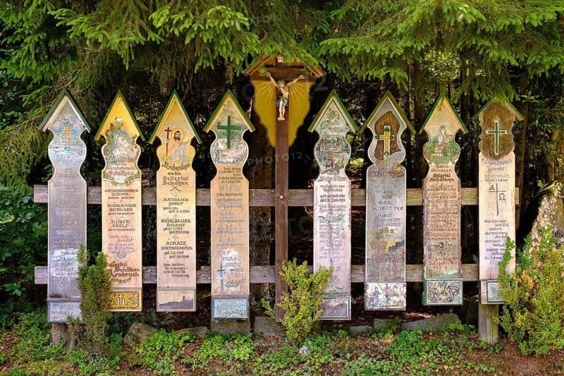 Dead Boards near Arnbruck in Lower Bavaria