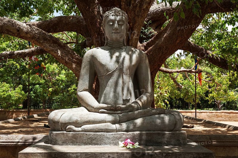 Buddha statue