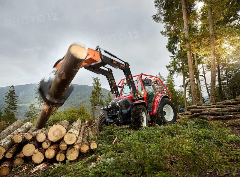 Forestry work