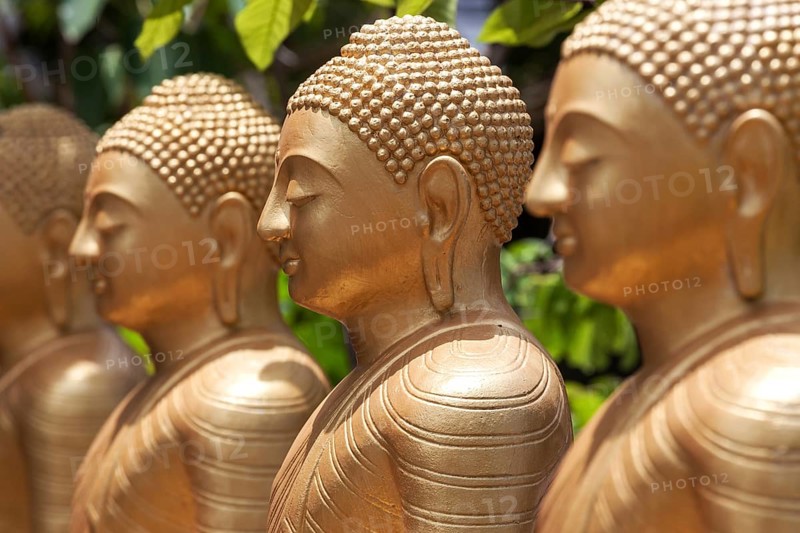 Golden Buddha statues