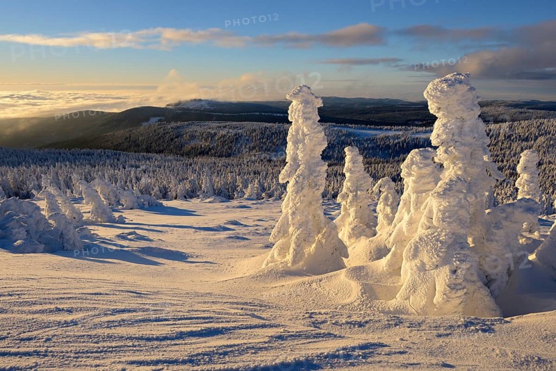 View from the Brocken on forests in winter
