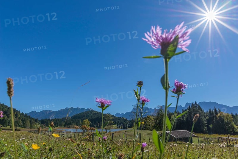 Geroldsee