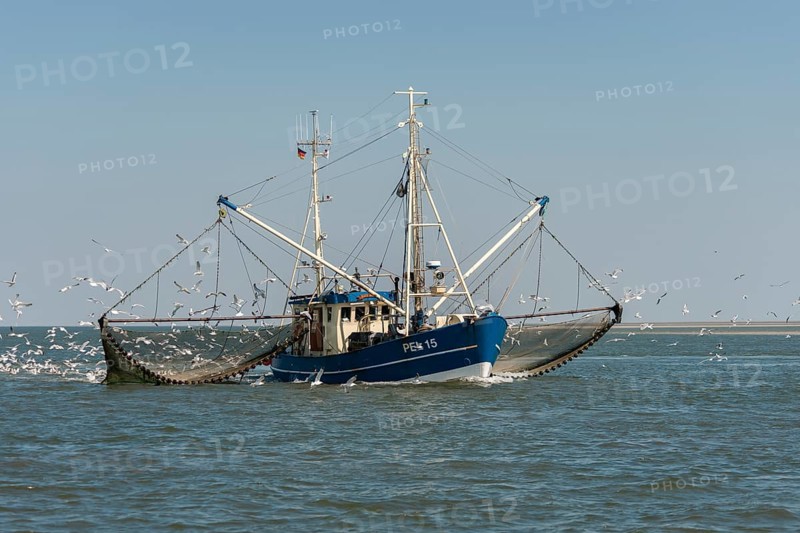 Fishcutter with casted nets at crabs catching