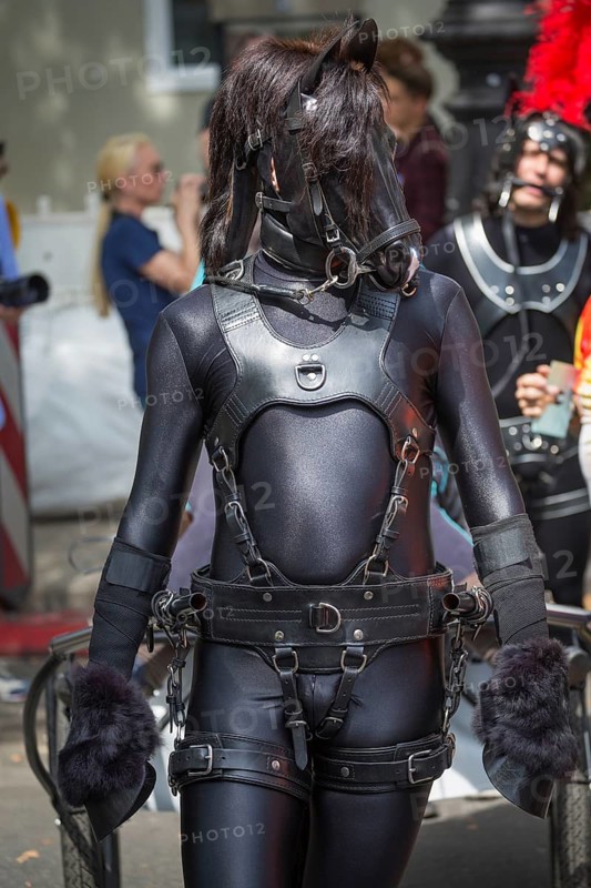 Visitors in medieval armor costumes and horse mask