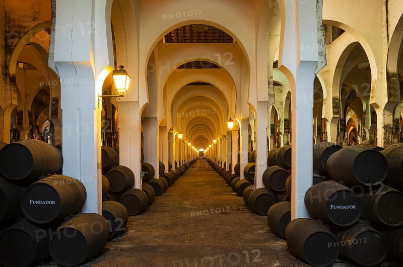 Stacked oak barrels in the wine cellar La Mezquita