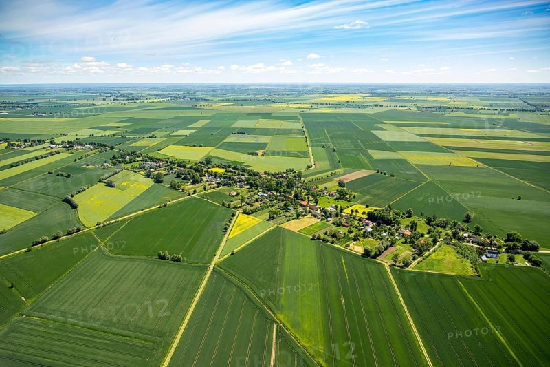 Fields