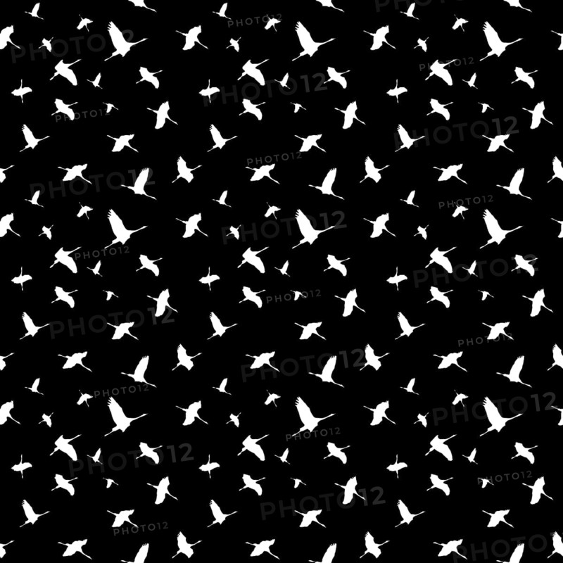 Wrapping paper