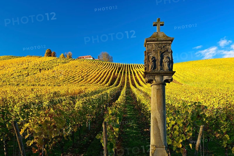 Shrine in vineyards in autumn