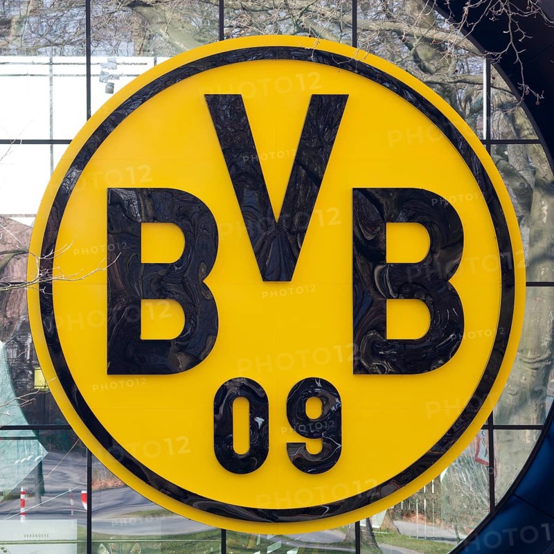 BVB Logo