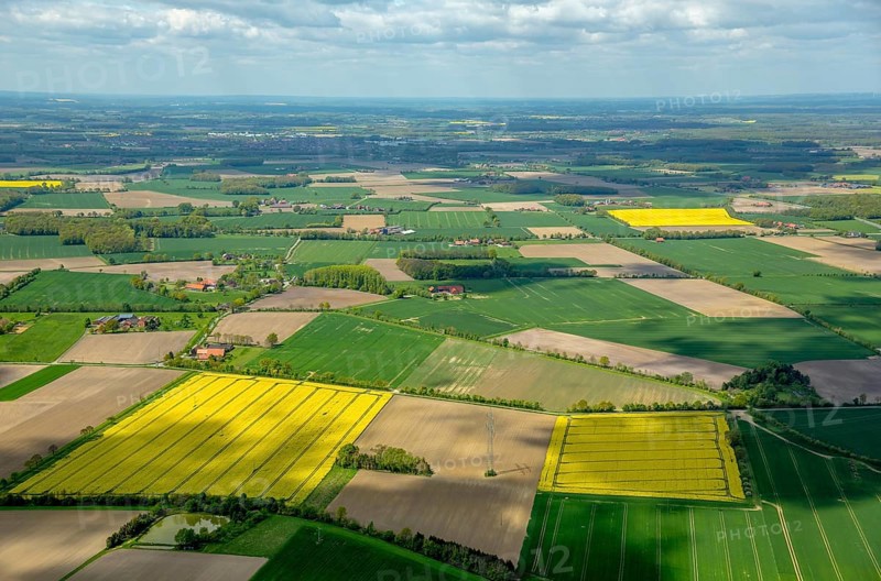 Farming fields and rape fields